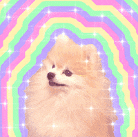 Dog Rainbow GIF