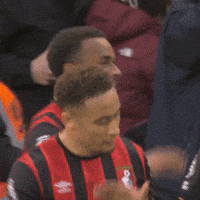 High Five Premier League GIF by AFC Bournemouth