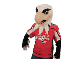 Ice Hockey Sport Sticker by NHL
