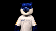 Game Cat GIF by SUNY Polytechnic Institute