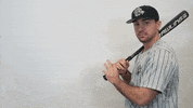 Baseball Roll Pards GIF by Lafayette Leopards