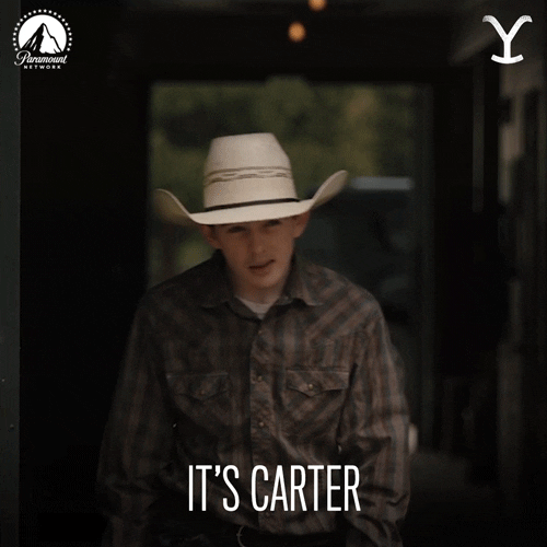 Cater Paramount Network GIF by Yellowstone