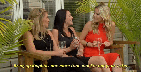 season 21 dolphins GIF by The Bachelor