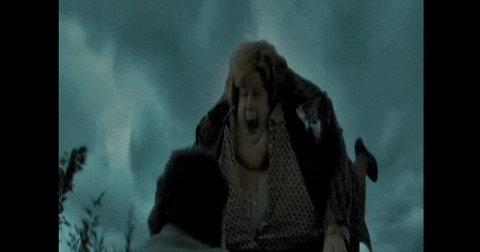 giphygifgrabber GIF