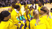 winning lets go GIF by WNBA