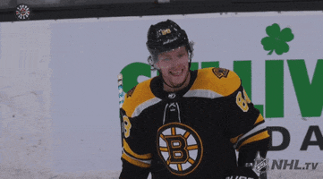 happy ice hockey GIF by NHL