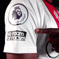 Premier League Football GIF by Southampton FC