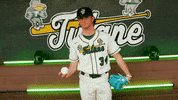 College Baseball Chandler GIF by GreenWave