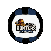 Zurich Ballon Sticker by Swiss Dodgeball