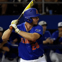 Pete Alonso Homerun GIF by Florida Gators