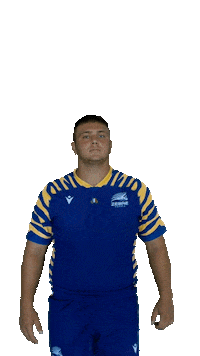Rugby Italia Sticker by Zebre Parma
