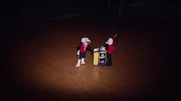 eastern-washington-university swoop ewu eastern washington university GIF