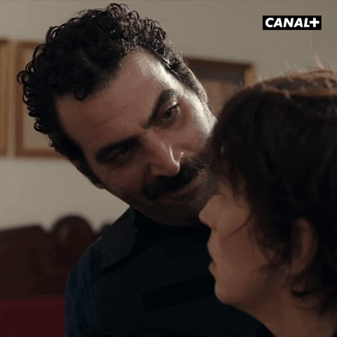 Canal Plus GIF by CANAL+