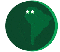 Soccer Futebol Sticker by SE Palmeiras