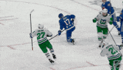 Happy Carolina Hurricanes GIF by NHL