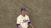 Cuw GIF by CUWFalcons