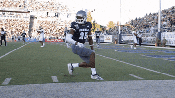 NevadaWolfPack football nevada wolf pack unr GIF