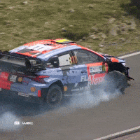 Never Give Up Racing GIF by FIA World Rally Championship