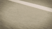Ride GIF by Harley-Davidson