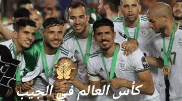 2algeriafans كأس العالم في الجيب GIF