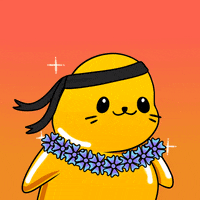 Fun What GIF by Sappy Seals Community