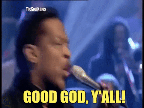 VicVik giphygifmaker GIF