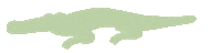 Crocodile Mummy Sticker by Mirjam Debets