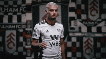 Cant Hear Premier League GIF by Fulham FC