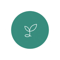 codeseed values ethics work ethics codeseed Sticker