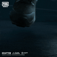 Battle Royale Rondo GIF by Official PUBG MOBILE