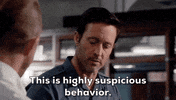 Steve Mcgarrett Tani Rey GIF by CBS