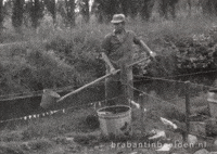 Water Filling GIF by Brabant in Beelden