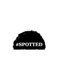 Spotted Sticker by Spotlight News
