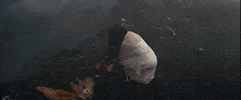 susiesuh music video nature flower rain GIF