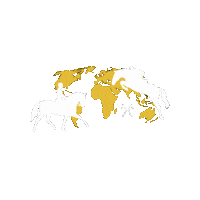 Hanoverian Sticker by Hannoveraner Verband