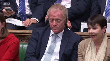 news uk british brexit parliament GIF