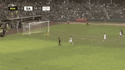 Goal GIF by New Mexico United