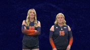 Cnvb GIF by Carson-Newman Athletics