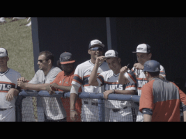 florida atlantic baseball GIF by FAU Athletics