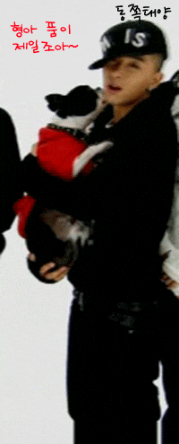 top sol bigbang yg gdragon GIF