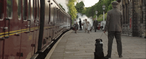 studiocanal-uk giphyupload GIF