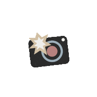 allisondarlingphotography photography photographer cameraflash allisondarling Sticker
