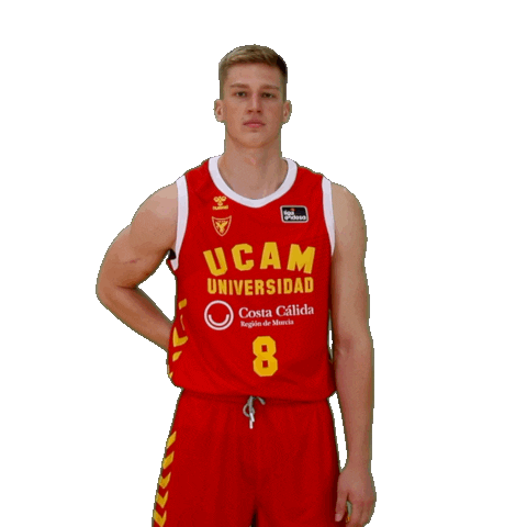 Liga Endesa Basketball Sticker by ACB
