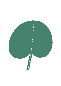 Plants Blatt Sticker by mitliebegemacht