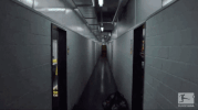 signal iduna park football GIF by Bundesliga