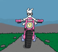 road trip motorcycle GIF by Chippy the Dog