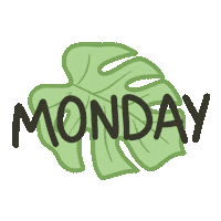 pistachioplayground plant monstera pistachioplantground Sticker