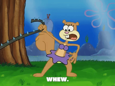 season 5 episode 10 GIF by SpongeBob SquarePants