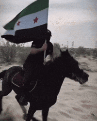 Syria Syrian Flag GIF