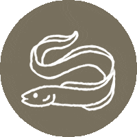 ringkobingskjernmuseum al eel fisk ringkøbingskjernmuseum Sticker